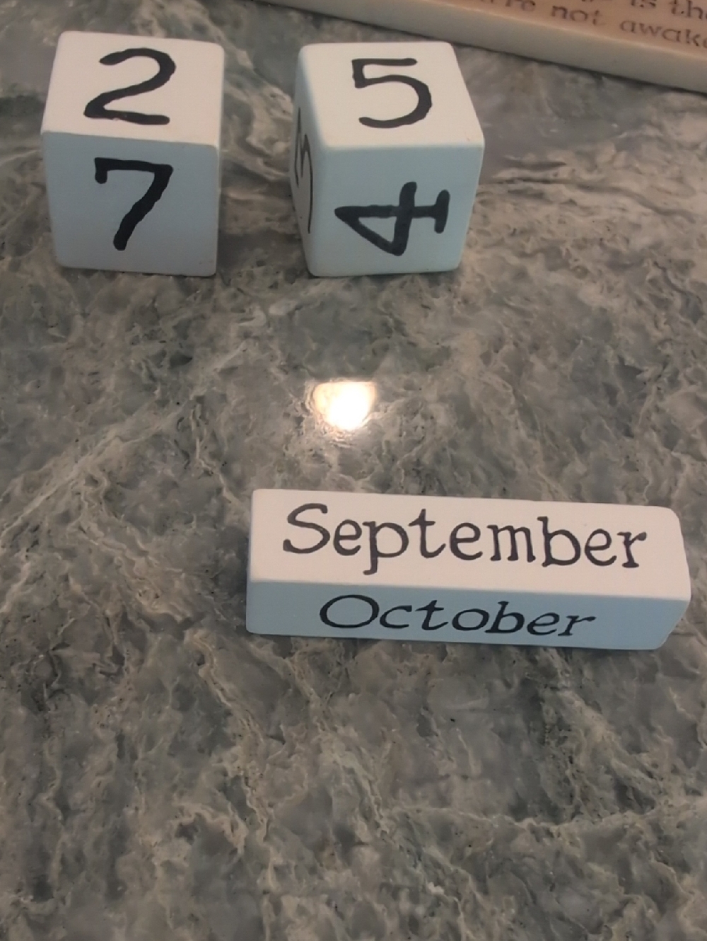 Peanuts Snoopy & Charlie Brown Perpetual Desk Calendar, Collectible - Picture 8 of 15